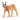 Caracal femmina