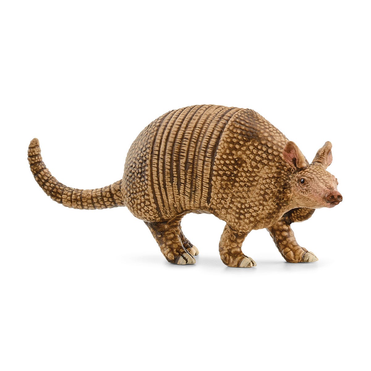 Armadillo - Main Image