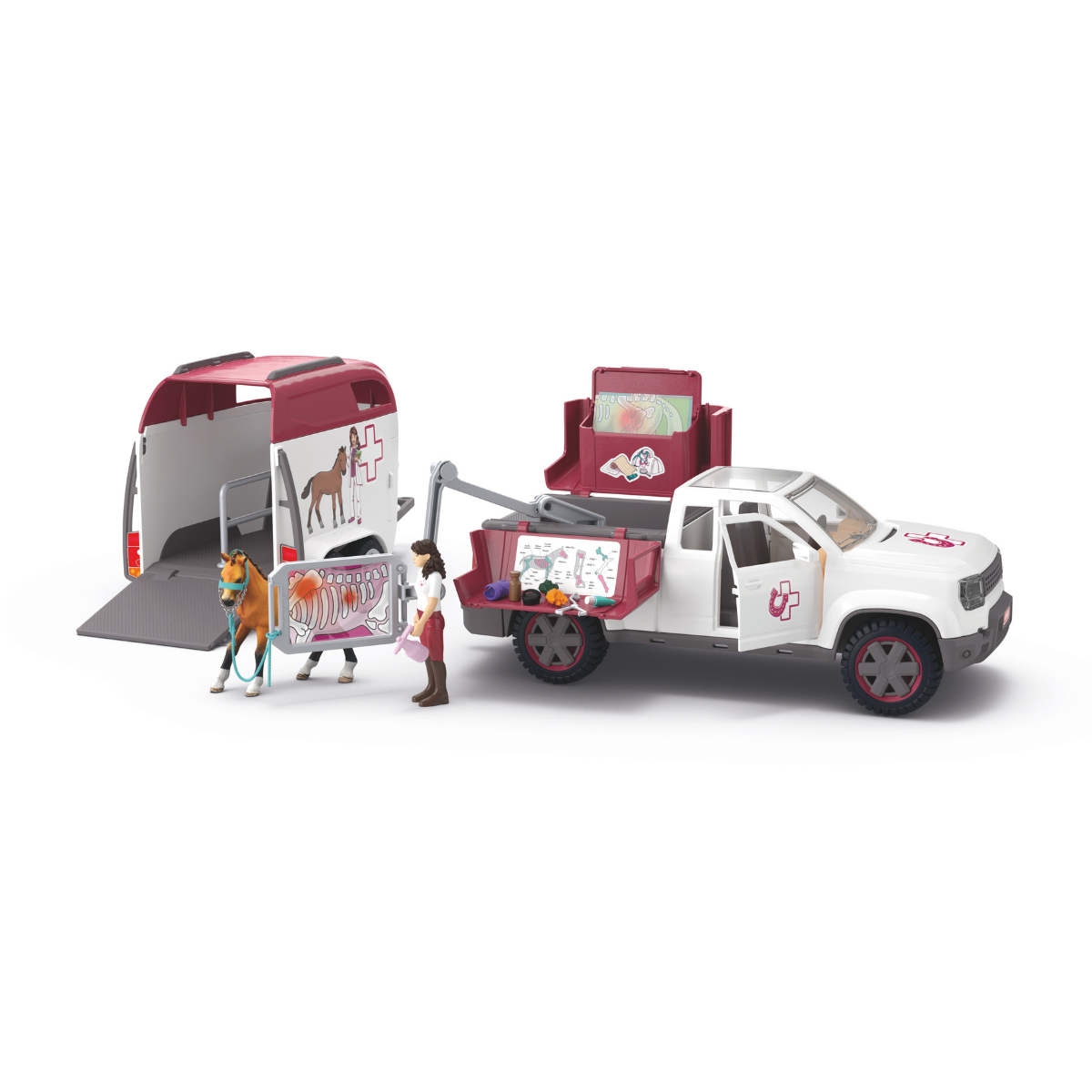 Ambulatorio veterinario mobile con rimorchio