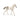 Puledro Holstein (Bundle)