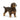 Wire-Haired Dachshund