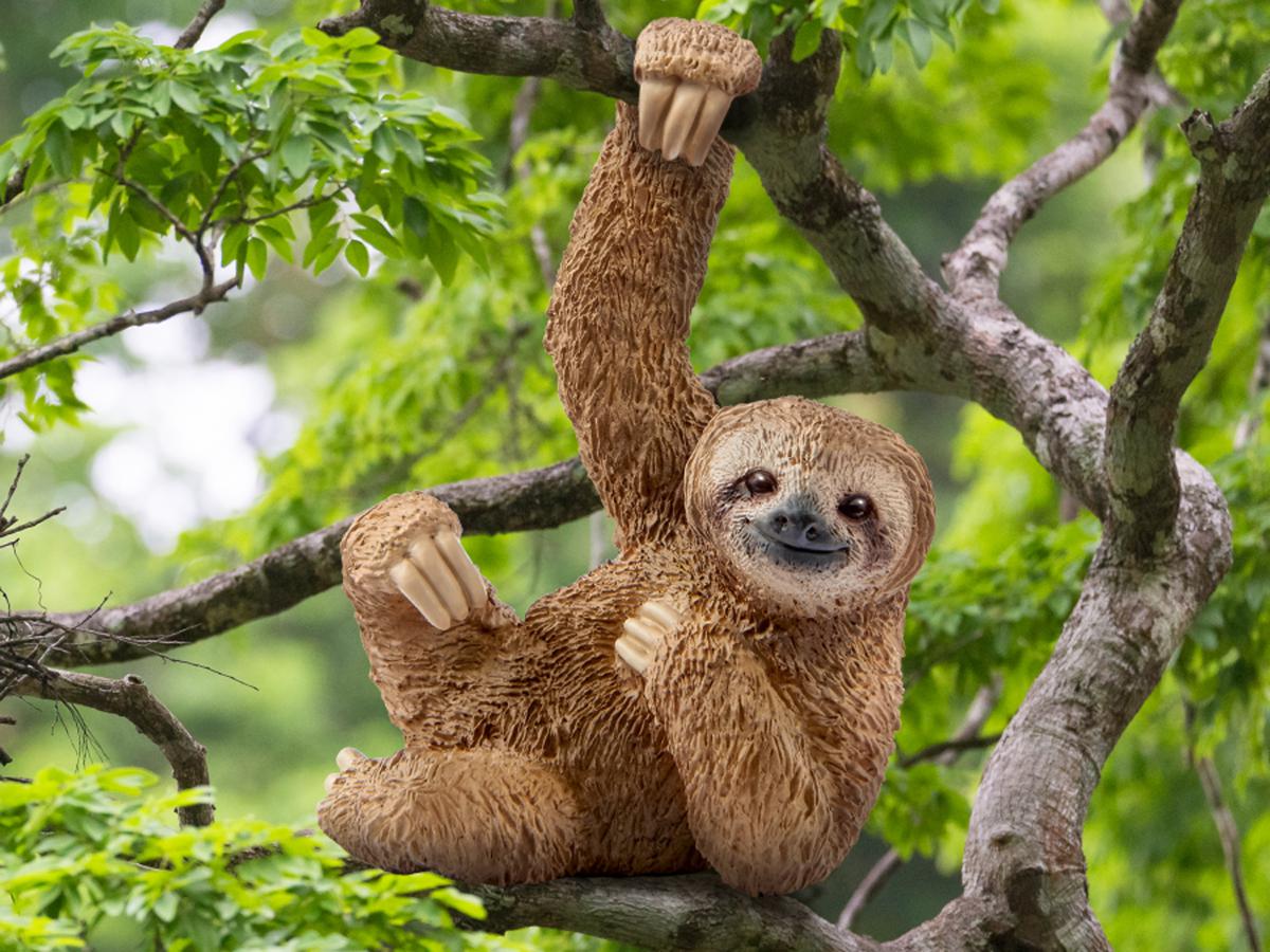 Sloth (bundle)