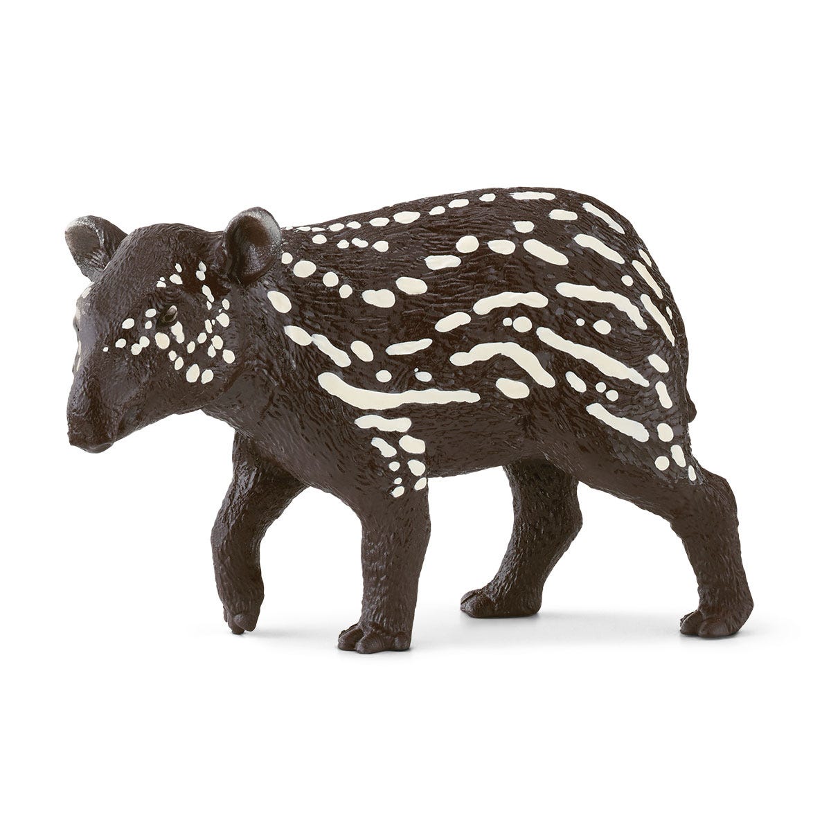 Cucciolo di tapiro