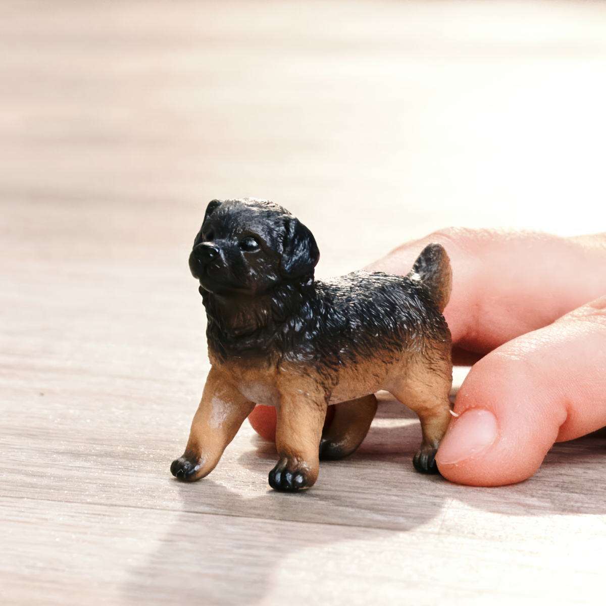 Cucciolo di pastore tedesco