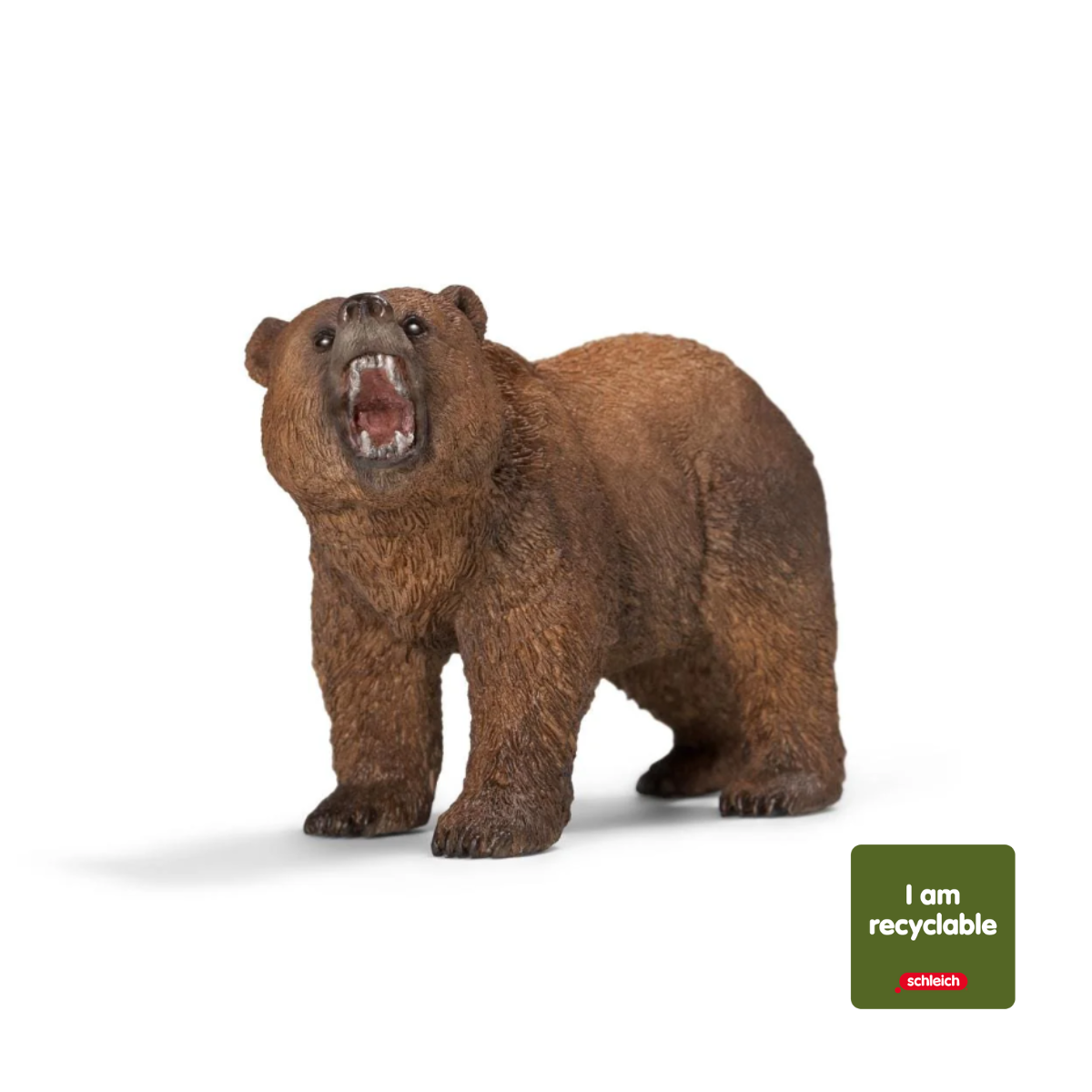 Orso grizzly