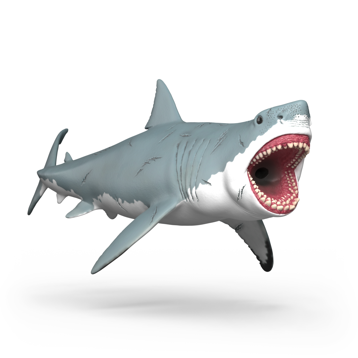 Megalodonte
