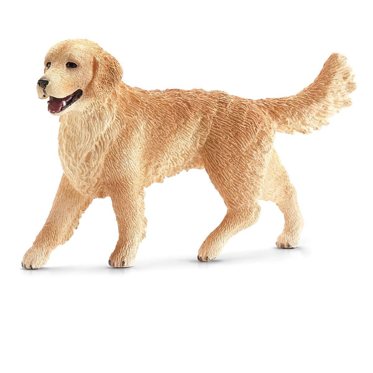 Golden Retriever, femmina