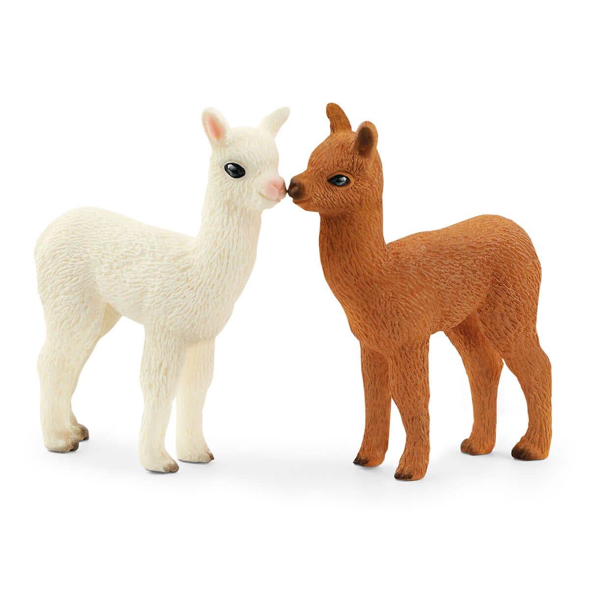 Insieme dell'alpaca