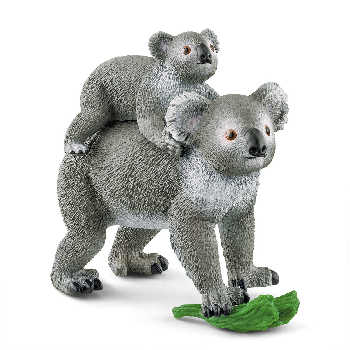 Mamma koala con cucciolo