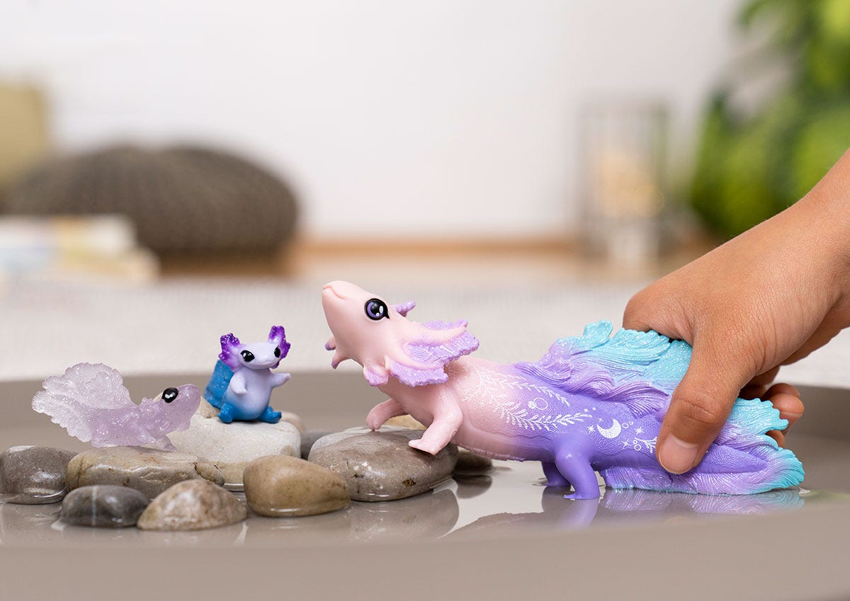 Axolotl discovery Set