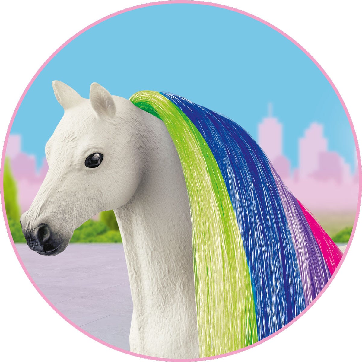 Hair Beauty Horses Rainbow