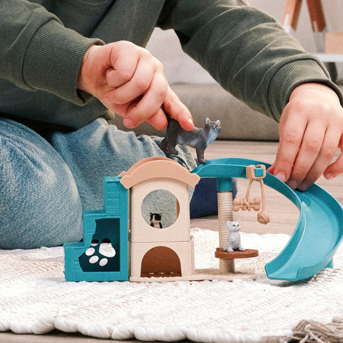 Divertimento per gatti