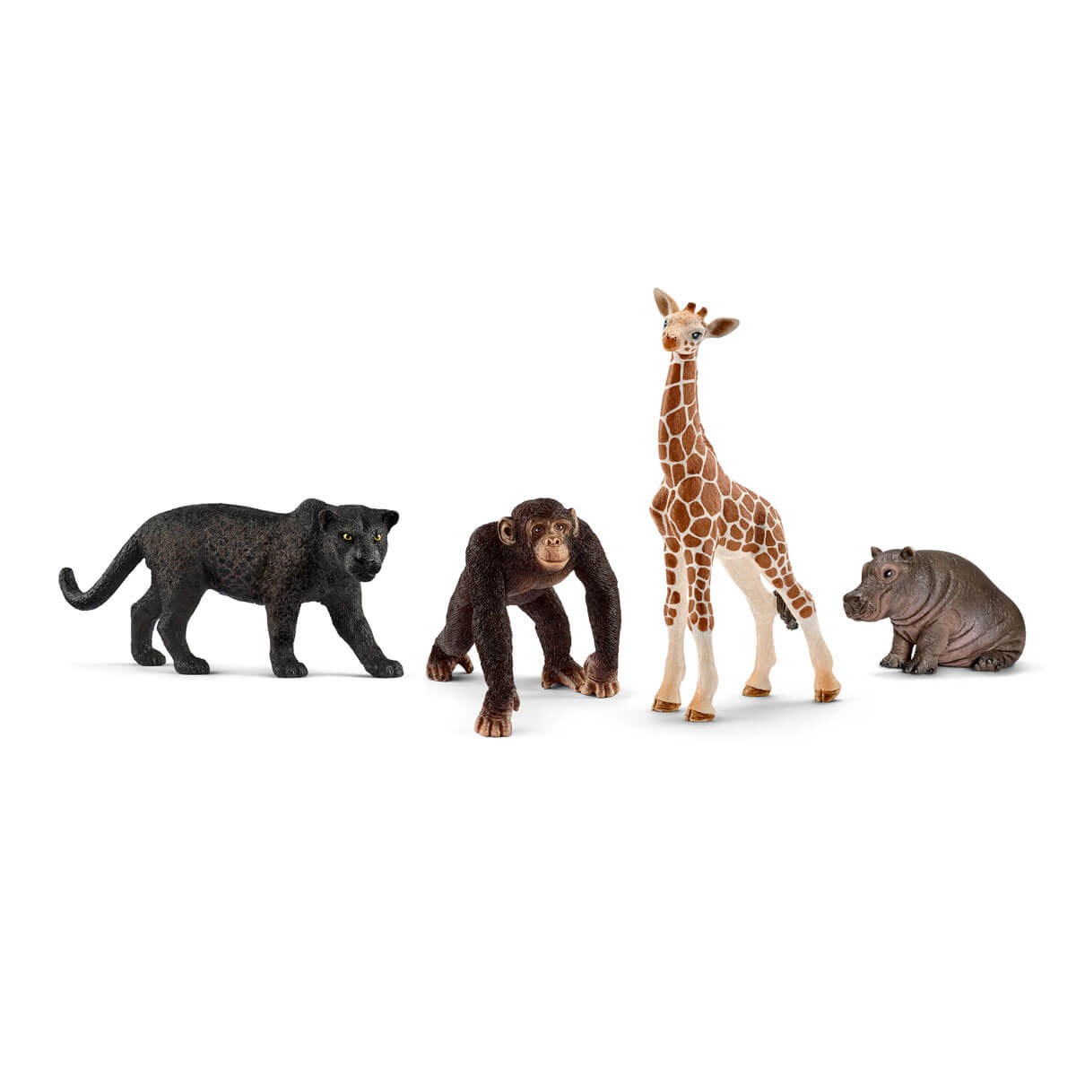 Starter Set per la raccolta della serie WILD LIFE