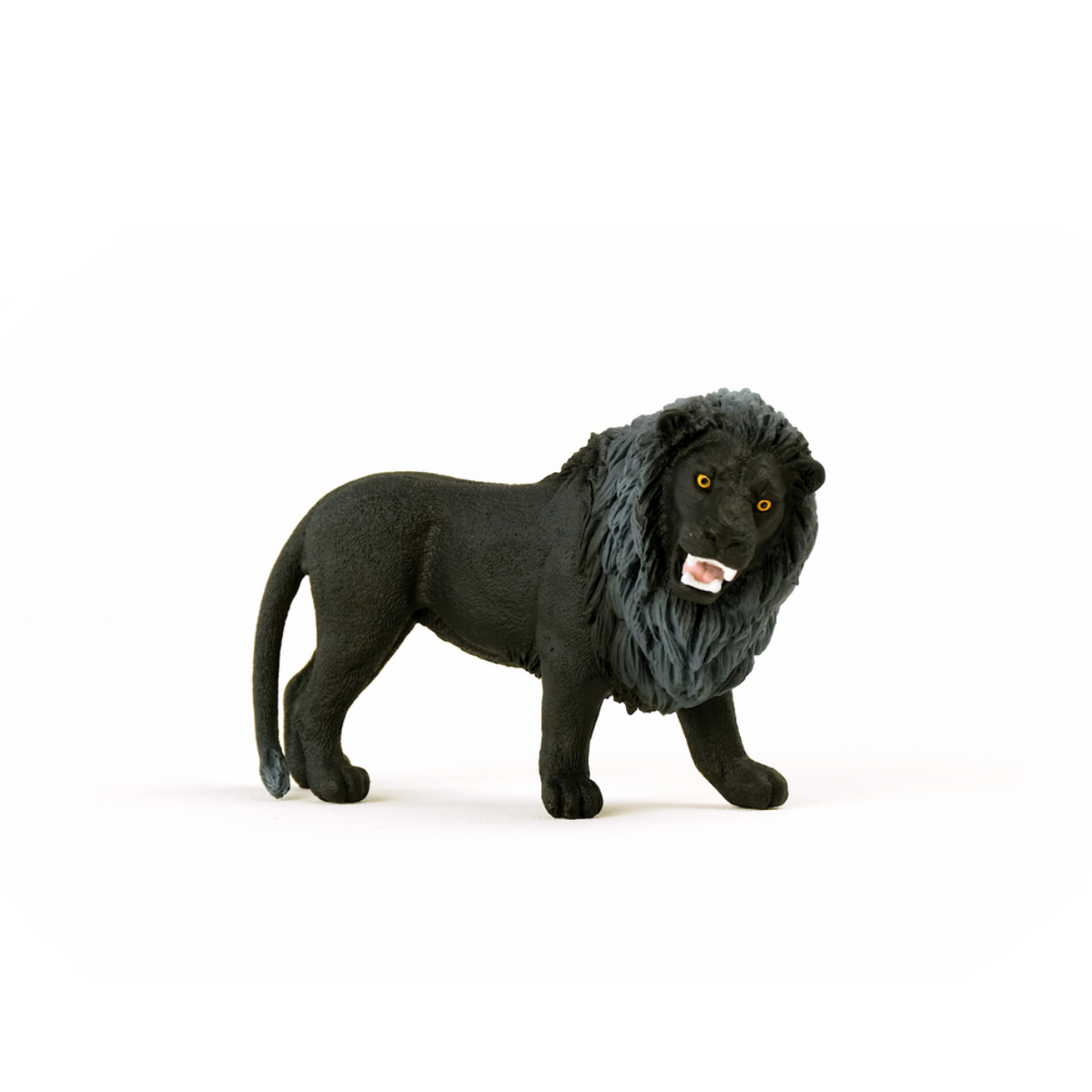 Leone Black Friday, ruggente