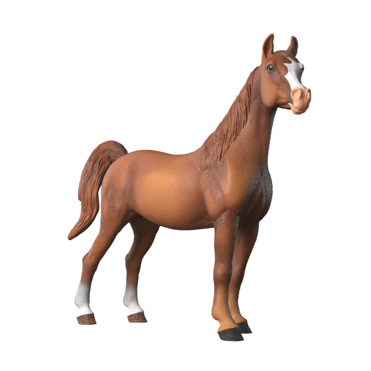 Amira, Giumenta araba 1:12