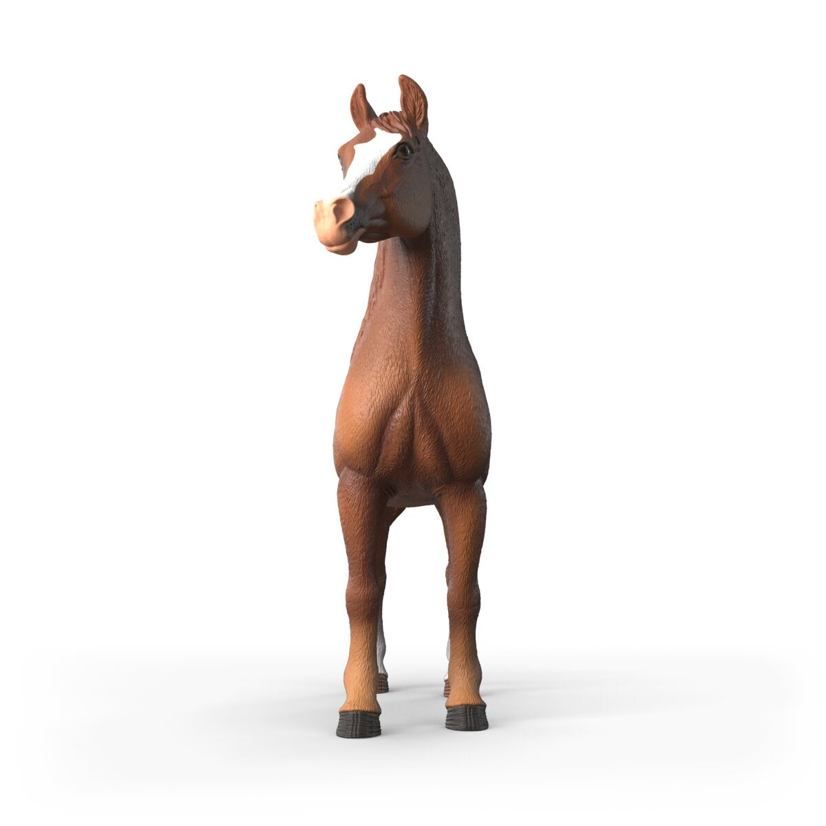 Amira, Giumenta araba 1:12